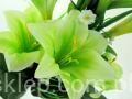 42b178bef10cbbeb3b0b3e1af981b3b4d8f7ed25