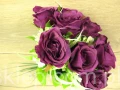 IMG_6733.jpg