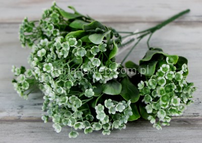 Bukiet z plast. kalanchoe E198 white green