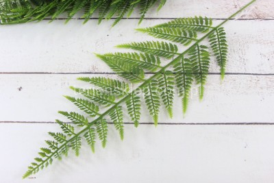 Paproć (liście) RX144 (12 szt )