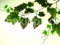 8b61e12eb494c76094a1102089e2a355b829c4d7