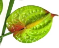 dd4dd0e0e6dc89cca10db11ed01ea88190d069c8