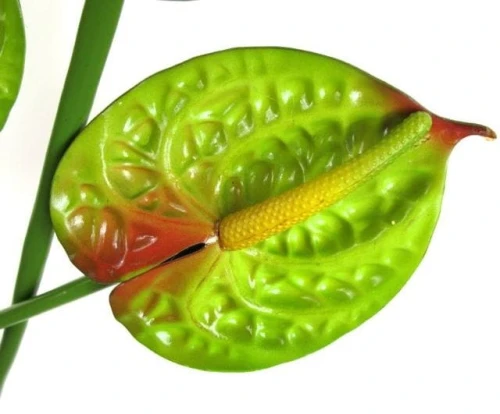 dd4dd0e0e6dc89cca10db11ed01ea88190d069c8