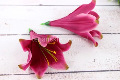 Lilia kielichowa W374 / J180 (12 szt) beauty z akcentami L25