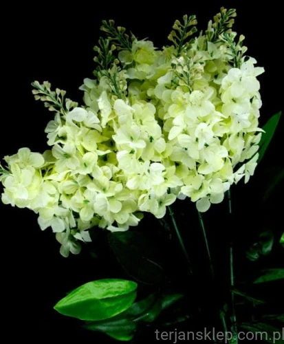 dff9f5bb0774c08262ec36a8668cd075b70e1ab3
