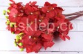 00003420.JPG