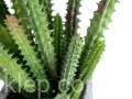 2e6ab6a06e397de1a89ccfcabf3515c4ace4a7ab